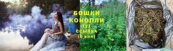 гидропоника Бронницы